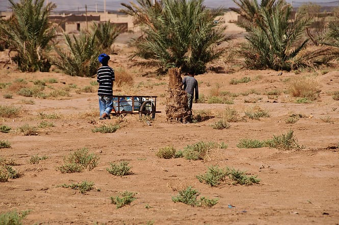 4 días desde Marrakech al desierto, 