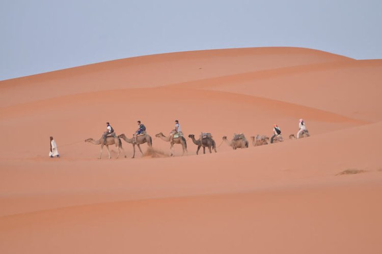 8 day desert tour from Tangier, 