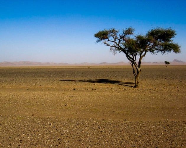 5 Days Tour from Marrakech to Merzouga, 